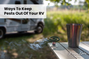 Bayou Oaks RV Park - Ways To Keep Pests Out Of Your RV